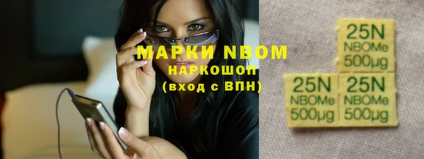 молекула духа Арсеньев