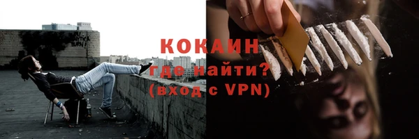 твердый Протвино