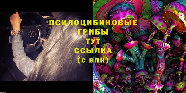 бошки Армянск
