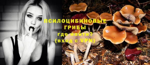 мдпв Пролетарск