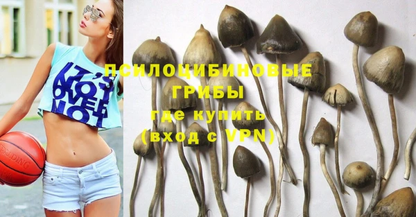 молекула духа Арсеньев