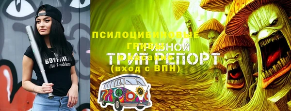 стафф Аркадак