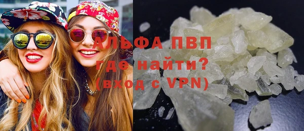 молекула духа Арсеньев