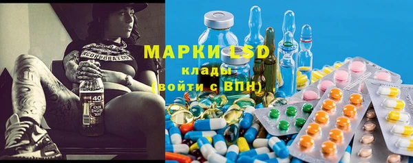 молекула духа Арсеньев