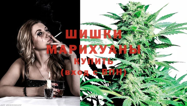 стафф Аркадак