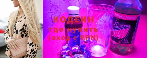 молекула духа Арсеньев