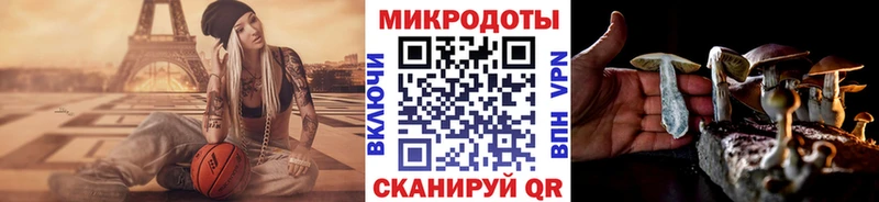 купить наркоту  Поронайск  Псилоцибиновые грибы ЛСД 